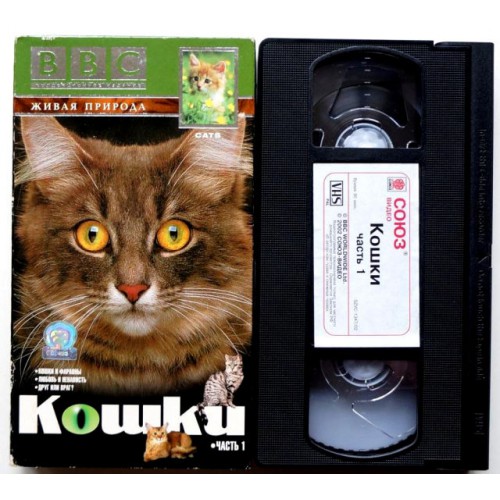 Кошки Живая природа BBC (VHS)