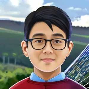 Роль государства в развитии сетей