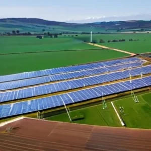 Тренды ВИЭ: агровольтаика — как совмещают сельхоз и генерацию