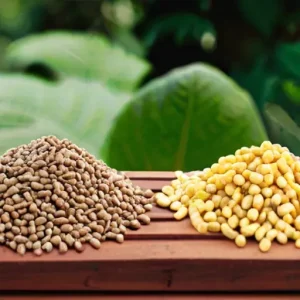 Биоэнергетика: сравнение пеллет и щепы по стоимости и логистике