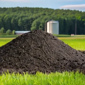 Биоэнергетика: зольность топлива и эксплуатационные проблемы