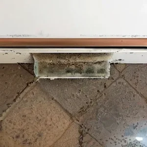 Почему плесень появляется даже при нормальной температуре